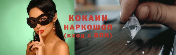 индика Лабытнанги