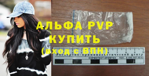тгк Шали
