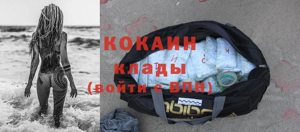 индика Лабытнанги