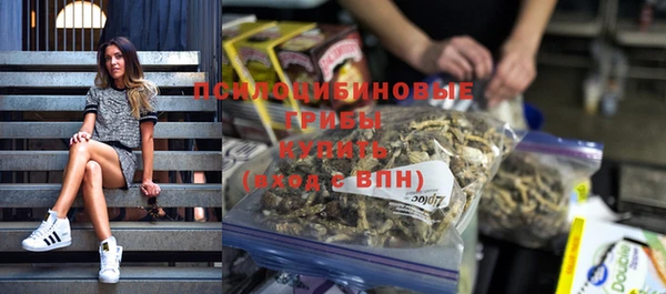 спиды Лагань